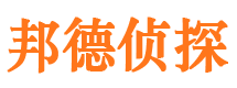 大宁市调查公司